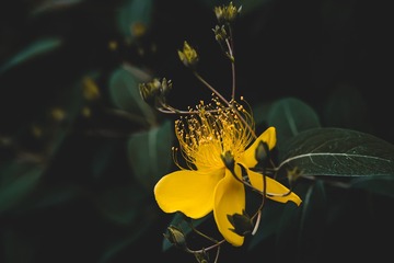 9E5D0381-99A5-41EA-A782-D51D94216FD7/L0/001