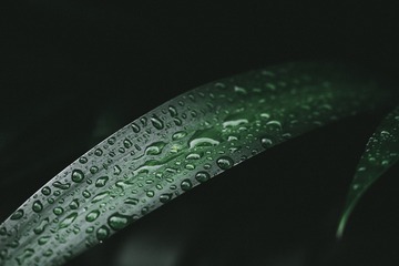 22D575B7-FA17-4B80-BF54-70BC041095A1/L0/001
