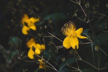 F5F81586-F6F8-480E-B4BA-9F2AFD418B7A/L0/001