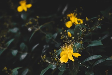 8656F6B2-AC72-4ACF-A832-1A63EFFD596D/L0/001