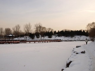 P1090601