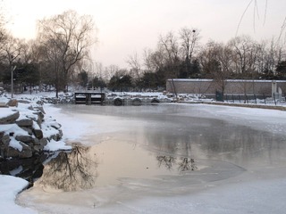 P1090647