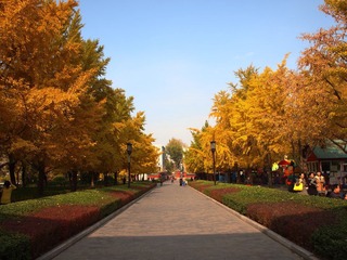 PB066158.jpg