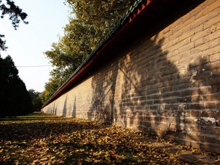 PB066317.jpg