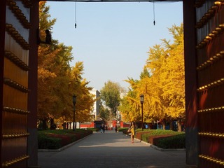 PB066446.jpg