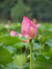 P7170858