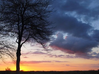 IMAGE_1000000077.JPG