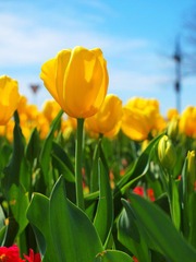 IMAGE_1000000099.JPG