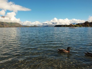 IMAGE_1000000065.JPG