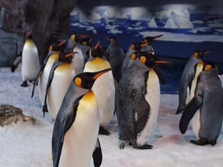 IMAGE_1000000111.JPG