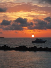 IMG_0035.JPG