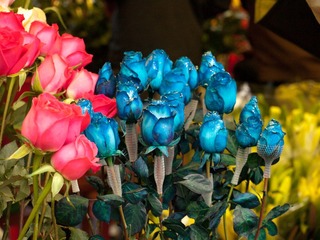 P1314028