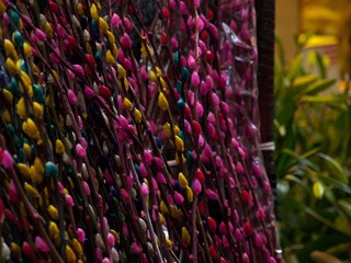 P1314055