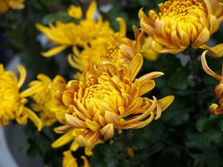 P1314059