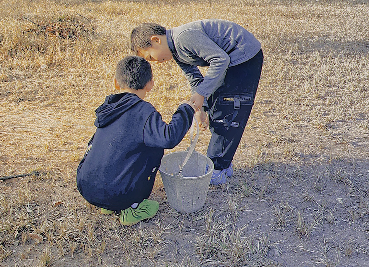 x画师2021年1月10日988关注捉鱼胶片集人儿童男孩日光您的打赏,是最大