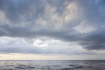 _DSC4541