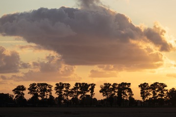 _DSC4393