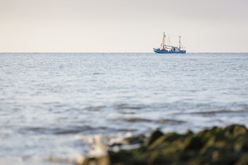 _DSC8273