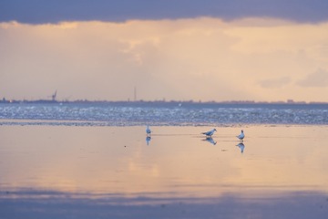 _DSC8501