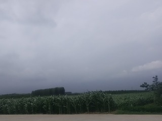 34981