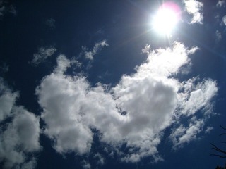 Picture 046