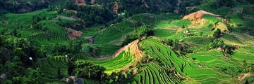 元阳老虎嘴_全景图3