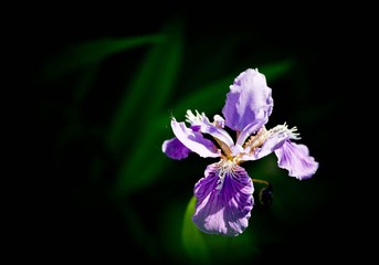 DSC_3282_lr
