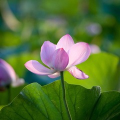 DSC_5344_lr