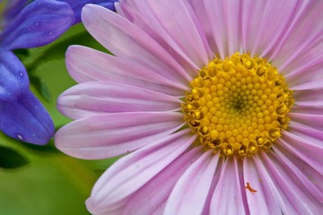 DSC_5591_lr.jpg