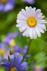 DSC_5636_lr.jpg