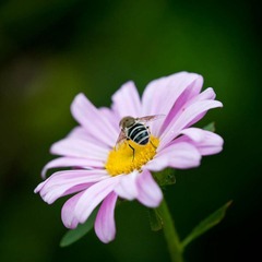 DSC_5640_lr.jpg