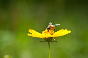 DSC_5679_lr.jpg