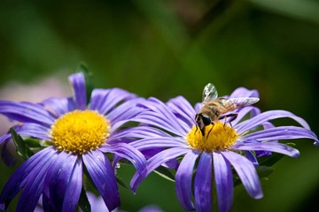 DSC_5658_lr.jpg