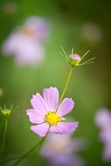 DSC_5773_lr.jpg