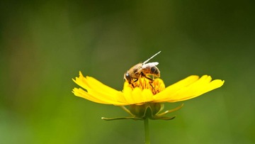 DSC_5681_lr.jpg