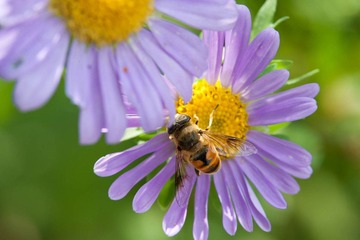 DSC_5702_lr.jpg