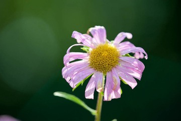 DSC_5654_lr.jpg