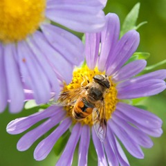 DSC_5706_lr.jpg