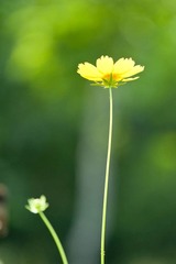 DSC_5656_lr.jpg