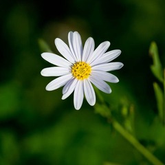 DSC_5821_lr.jpg