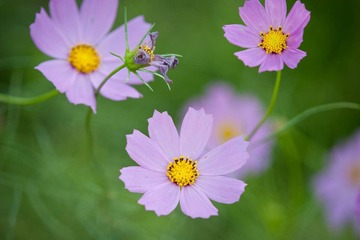 DSC_5762_lr.jpg