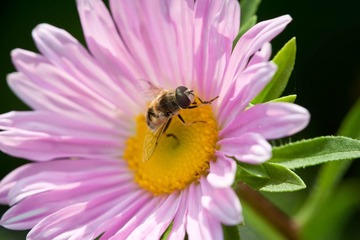 DSC_5630_lr.jpg