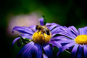 DSC_5662_lr.jpg