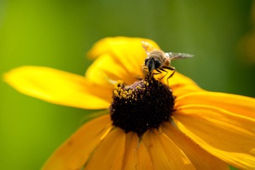 DSC_5835_lr.jpg