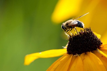 DSC_5852_lr.jpg