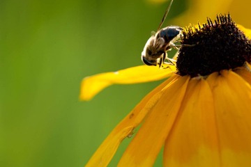 DSC_5855_lr.jpg
