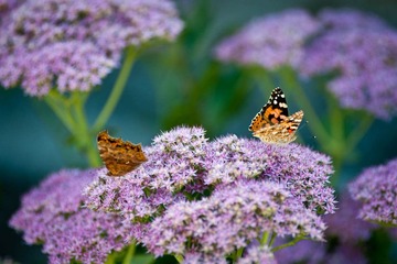 DSC_6059_lr.jpg