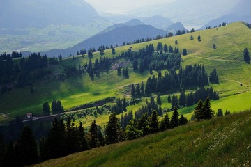 DSC_4770.jpg