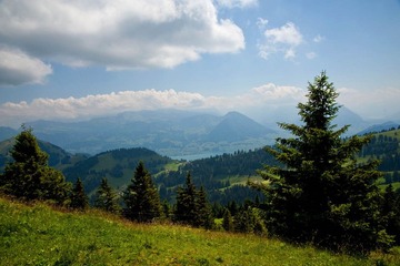 DSC_4784.jpg