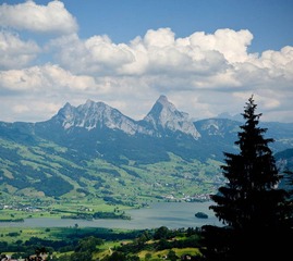 DSC_4859.jpg